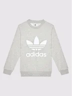 Bluzy dla chłopców - Adidas Bluza Trefoil GD2709 Szary Regular Fit - miniaturka - grafika 1