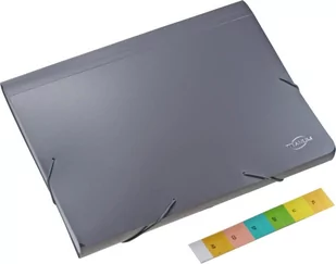 Hasta Teczka z gumką Pp A4/30mm/12przegr Pop Fol - Artykuły biurowe - miniaturka - grafika 1