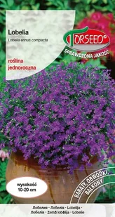 Nasiona Lobelia (Stroiczka) modrofioletowa 0,2g - Torseed - Nasiona i cebule - miniaturka - grafika 1