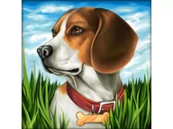 Zabawki kreatywne - Haft Diamentowy, Obraz, Mozaika Diamentowa Diamond Painting, Pies Beagle 30X30Cm - miniaturka - grafika 1