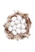Zabawki kreatywne - Jajka przepiórcze i piórka - miniaturka - grafika 1