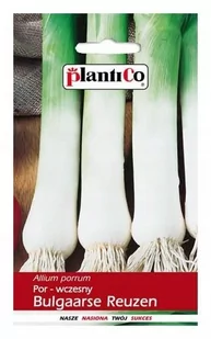 Plantico Por Bulgaarse Reuzen - Nasiona i cebule - miniaturka - grafika 1