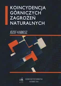 Technika - Koincydencja górniczych zagrożeń naturalnych - miniaturka - grafika 1