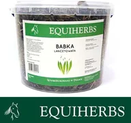 Akcesoria jeździeckie - EQUIHERBS Babka lancetowata 0,5 kg - miniaturka - grafika 1