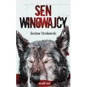 Kryminały - Sen winowajcy Gustaw Strukowski - miniaturka - grafika 1