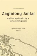 E-booki - fantastyka i horror - Zaginiony Jantar, czyli co wydarzyło się w słowiańskim porcie - miniaturka - grafika 1