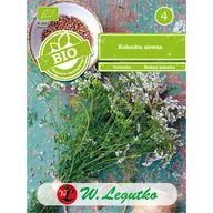 Nasiona i cebule - Kolendra siewna 1g W. Legutko - miniaturka - grafika 1