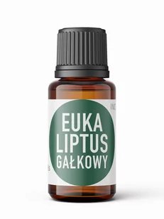 Olejek Eukaliptusowy Gałkowy Oilo Bio 100% Naturalny 5 Ml - Aromaterapia - miniaturka - grafika 1