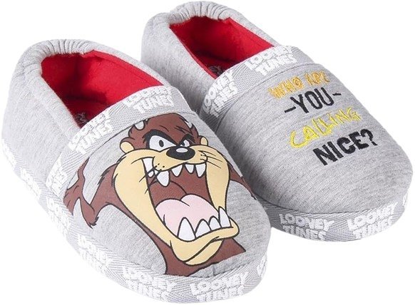 Looney Tunes Kapcie Dziecięce Szare Z Haftem I Postacią 34-35 J1A