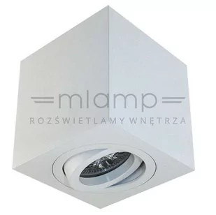 Orlicki Design Oprawa sufitowa Lago Bianco OR82135 OR82135 - Lampy sufitowe - miniaturka - grafika 1