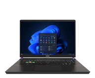 Laptopy - MSI Vector 17 HX i9-14900HX/32GB/1TB/Win11 RTX4090 240Hz A14VIG-1006PL - miniaturka - grafika 1