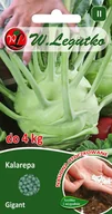 Nasiona i cebule - Kalarepa Gigant nasiona otoczkowane 100szt. W. Legutko - miniaturka - grafika 1