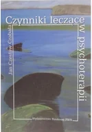 Pedagogika i dydaktyka - Czynniki leczące w psychoterapii - miniaturka - grafika 1