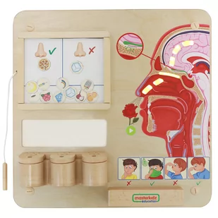 Masterkidz MASTERKIDZ Tablica Edukacyjna Zmysł Węchu ME15822 - Tablice dla dzieci - miniaturka - grafika 1