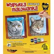 Zabawki kreatywne - Wypukła malowanka Dwupak Koty Brytyjski krótkowłosy-Dachowi - miniaturka - grafika 1