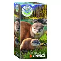 Eurographics Puzzle 250 Wydry 8251-5558 628136555586 - Puzzle - miniaturka - grafika 1