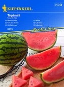 Nasiona i cebule - Arbuz Tigrimini 8219 (ST) - miniaturka - grafika 1