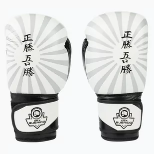 DBX BUSHIDO RĘKAWICE BOKSERSKIE "JAPAN" SPARINGOWE BUSHIDO B-2v8 14oz 1BU-1383 - Rękawice do ćwiczeń - miniaturka - grafika 1