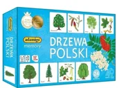 Gry planszowe - Drzewa Polski - Adamigo - miniaturka - grafika 1