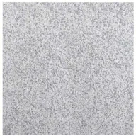 Kostki brukowe i krawężniki - Płytka granitowa szara płomieniowana G603 New 60x60 2cm - miniaturka - grafika 1