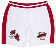Spodenki męskie - spodenki męskie SANTA CRUZ TTE WORLDWIDE MESH SHORT WHITE - miniaturka - grafika 1