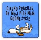 Magnesy - Magnes na lodówkę Godne życie pies - miniaturka - grafika 1