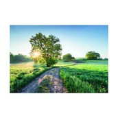 Fototapety - Fototapeta Łąka 368 x 254 cm - miniaturka - grafika 1