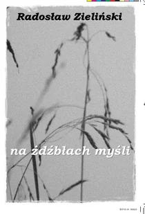 Na źdźbłach myśli - Poezja - miniaturka - grafika 1
