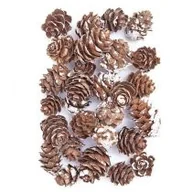 Zabawki kreatywne - Dalprint Mini szyszki bielone 25g - miniaturka - grafika 1