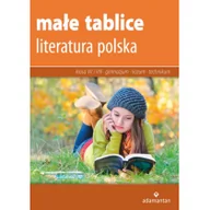 Materiały pomocnicze dla uczniów - Adamantan Małe tablice Literatura polska 2017 - Adamantan - miniaturka - grafika 1