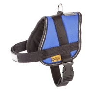 Szelki dla psów - Dingo Szelki Dla Psa Strong Odblask ROZM.3 A Nieb - miniaturka - grafika 1