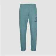 Dresy męskie - Męskie Spodnie FUTURE SURF JOGGER S - miniaturka - grafika 1