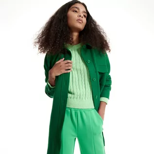Swetry damskie - Reserved Sweter z ozdobnym splotem - Zielony - grafika 1