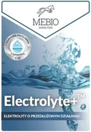 Akcesoria jeździeckie - St Hippolyt Elektrolity Mebio Electrolyte+TM 1kg - St. Hippolyt - miniaturka - grafika 1
