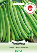Nasiona i cebule - Fasola Bona 30g (REDUM) - WegAna - miniaturka - grafika 1