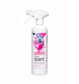 Odświeżacze powietrza - CLINEX SCENT ODŚWIEŻACZ POWIETRZA PARYSKI WDZIĘK 500 ML - miniaturka - grafika 1