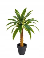 Sztuczne kwiaty - Sztuczna Roślina Jukka w Doniczce Drzewko Sztuczne Juka 70 cm - miniaturka - grafika 1