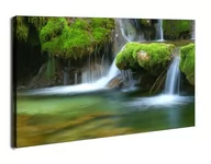 Obrazy i zdjęcia na płótnie - Leśny Wodospad - obraz na płótnie Wymiar do wyboru: 120x90 cm - miniaturka - grafika 1