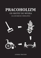 E-booki - biografie - Pracoholizm. Od miotły do wózka (na szczęście chwilowo) - miniaturka - grafika 1
