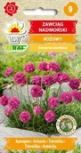 Nasiona i cebule - Toraf Zawciąg nadmorski nasiona 0,1g 00520 - miniaturka - grafika 1