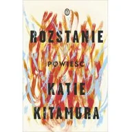 Klasyka - ROZSTANIE LETNIA WYPRZEDAŻ DO 80% - miniaturka - grafika 1