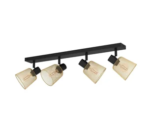 Eglo 900695 - Oświetlenie punktowe COSLADA 4xE27/40W/230V - Lampy sufitowe - miniaturka - grafika 1
