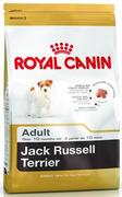 Royal Canin Jack Russel Adult 0,5 kg