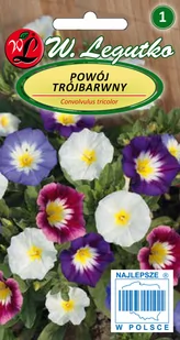Legutko sp. z o.o Nasiona Powój trójbarwny mieszanka, 2g - Nasiona i cebule - miniaturka - grafika 1