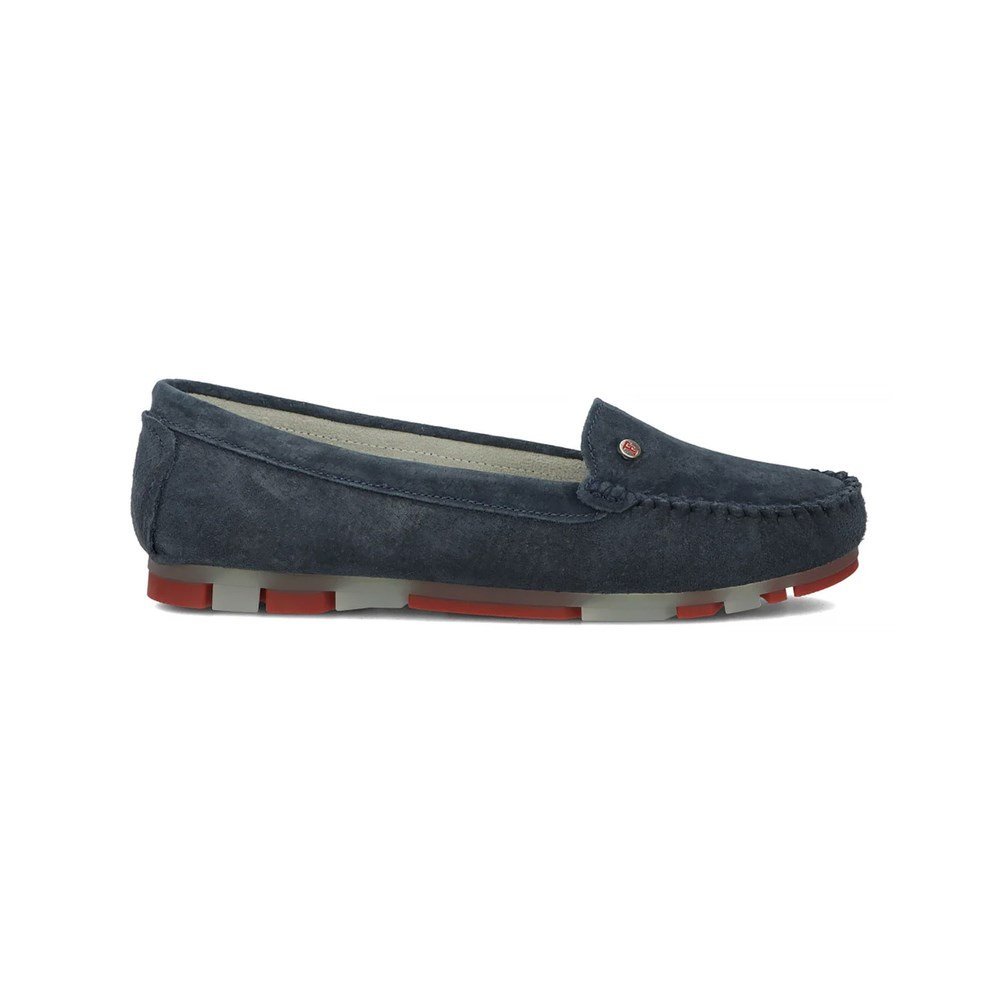 DP203725NVRD