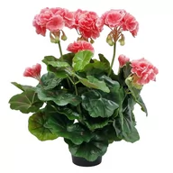 Sztuczne kwiaty - PELARGONIA SZTUCZNA W DONICZCE (613.24) KORAL-RÓŻ sztuczne kwiaty na balkon na taras - miniaturka - grafika 1