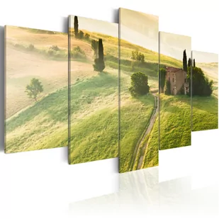 Obraz - Zielona Toskania (rozmiar 100x50) - Obrazy i zdjęcia na płótnie - miniaturka - grafika 1
