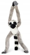 Maskotki i pluszaki - Maskotka Małpka Lemur z magnesami - 43cm - miniaturka - grafika 1