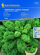 Nasiona i cebule - Jarmuż Halbhoher Grüner Krauser – Kiepenkerl - miniaturka - grafika 1