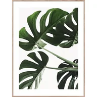 Ramki na zdjęcia - Obraz Artbox Digi 50 x 70 cm AB059 MONSTERA - miniaturka - grafika 1